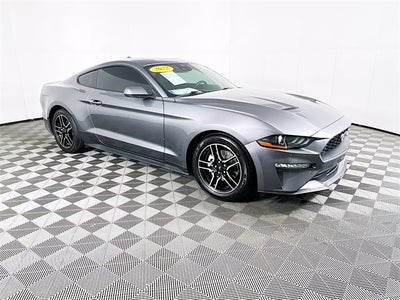 2022 Ford Mustang EcoBoost