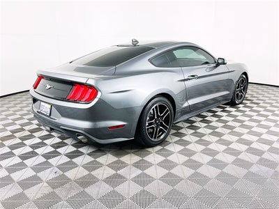 2022 Ford Mustang EcoBoost