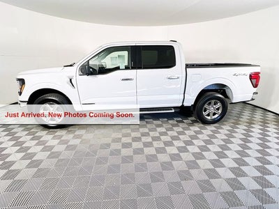2024 Ford F-150 XLT