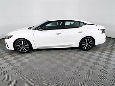 2023 Nissan Maxima SV