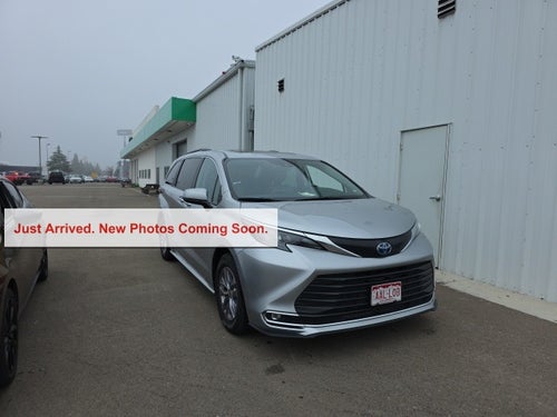 2024 Toyota Sienna XLE