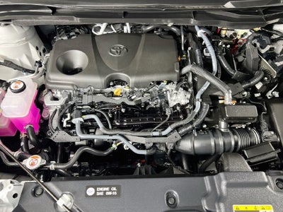 2026 Toyota Sienna XLE 7 Passenger