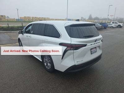 2025 Toyota Sienna XLE 7 Passenger