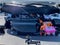 2026 Hyundai PALISADE HYBRID Blue SEL 7P