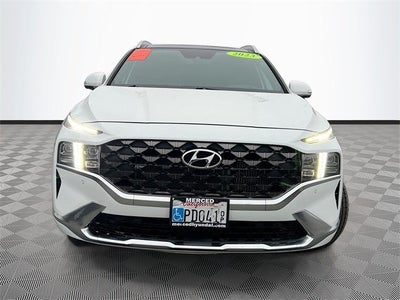 2023 Hyundai SANTA FE Calligraphy